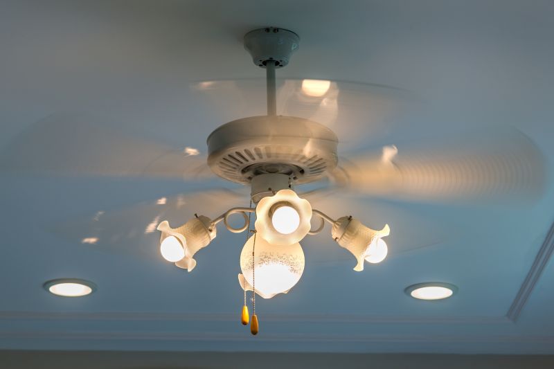 Ceiling Fan Replacement in Overland Park, KS